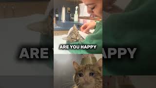 Cat Spending His Last Moment With Owner