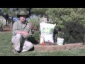 Raised_Bed_Gardening.mov