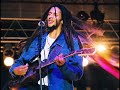 Julian Marley - Lion in the Morning.
