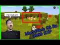 🔥Cách Mod Đánh Gà Ra 999 Sao|Mini World Cực Hót