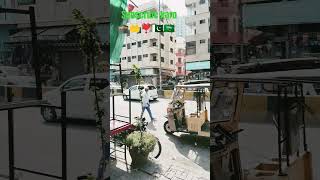 Youtube Channel