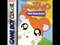 Hamtaro: Ham-Hams Unite! Remix: Sunflower Market