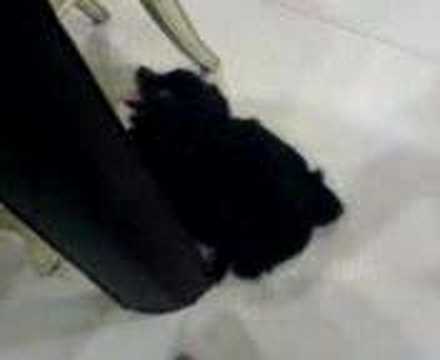 Cerita Pantat Basah http://www.pic2fly.com/Pantat+Basah.html