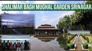 kashmir Shalimar garden 🏡 ताऊ की मस्ती#song #trending #jambu #kashmir #shalimarg