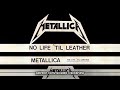 Metallica - Jump in the Fire (No Life 'Til Leather Demo) (Guitars Only)