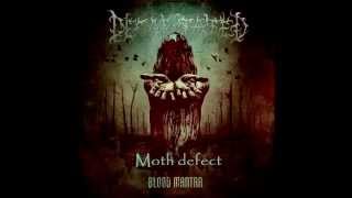 Watch Decapitated Moth Defect video