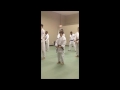 Parker Withers Pinan Nidan Wado Ryu - Karate Clear Lake Martial Arts