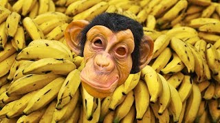 Monkey Banana-Baby Monkey | Animal Songs | Elya TV Songs for Kids