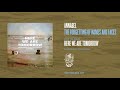 The Forgetting Of Names And Faces Video preview