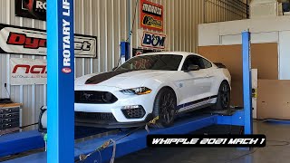 Whippled Mach 1 Dyno