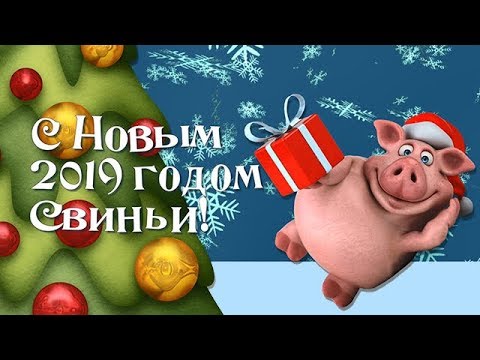 Картинки с Новым годом 2019 год Свиньи красивые примеры фото