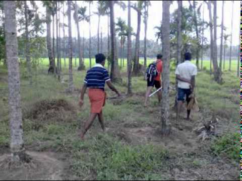 Anwar kizhaku pookum YOU TUBE.mpg