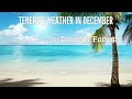 Tenerife Weather in December - A Quick Review Tenerife Weather in December - A Quick Review