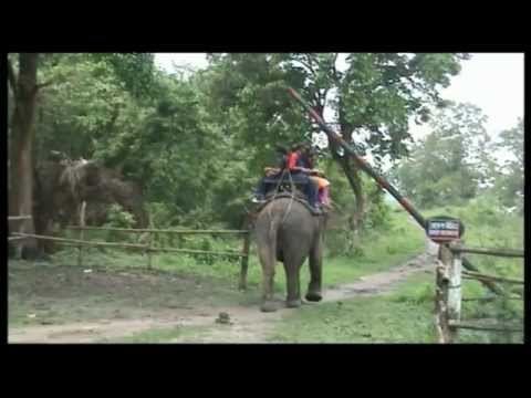 ASSAM-MEGHALAYA-BHRAMAN-KAZIRANGA-FOREST