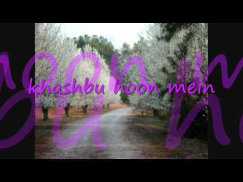 khushbu hoon mein phool nai hoon