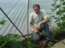 polytunnels