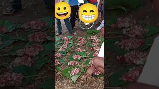 Desi Village Ka Fighting Video