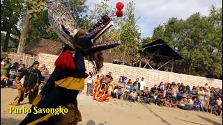 JARANAN PEGON Krido Manggolo live Wringinanom