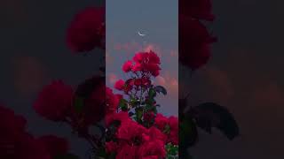 Ava Max - Take You To Hell Slowed Reverb
