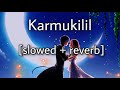 Karmukilil [slowed +reverb] |Bachelor party movie | Asif Ali | nithya menen | sreya ghoshal