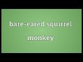 Bare-eared squirrel monkey Meaning