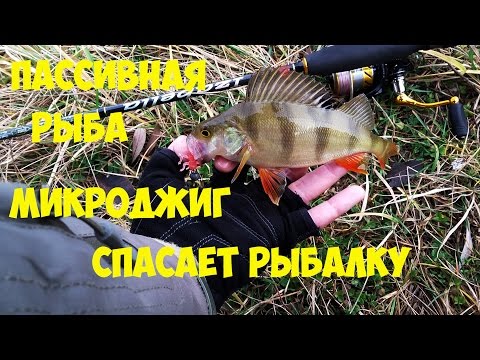 ловля окуня в апреле в беларуси ловля окуня в апреле в беларуси