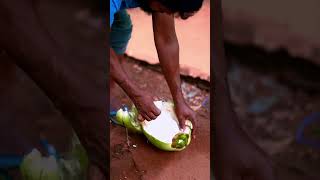 Baby Coconut In The Village