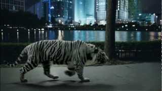 LFunXuWoK1A Video Image