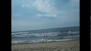 Watch Weepies Wish I Could Forget video