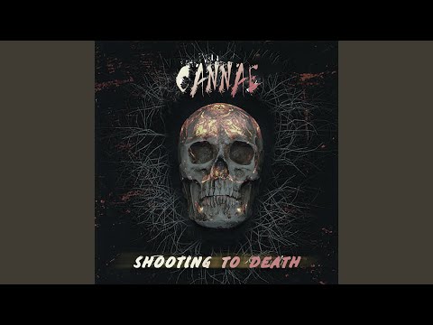 Troubleshooting Death Video
