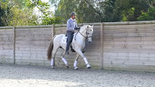 NOUVEAU: Les Essentiels du dressage par Pierre Beaupère