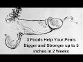 3 Foods Help Your Penis Bigger and Stronger up to 5 inches in 2 Weeks