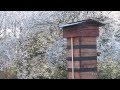 Printemps 2014 en Calvados - notre ruche japonaise traditionnelle en action - japanese beehive