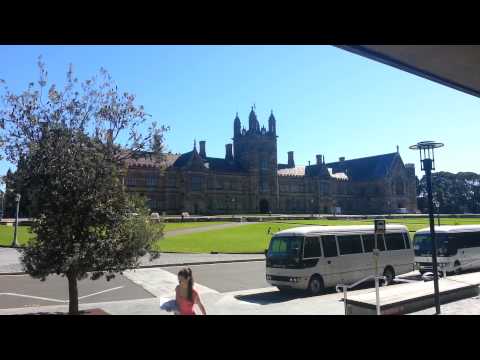 I hope that the carillonneur did not illegally download the sheet music. I was sitting outside the library when I recognised the tune being played by the bel...