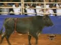 Brasil Freestyle Bullfighter Pomp Ia Sp Brasil Freestyle Bullfighter Pomp Ia Sp