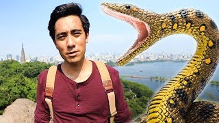 Best Funny Zach King Vine Compilation | Most Amazing Zach King Magic Tricks