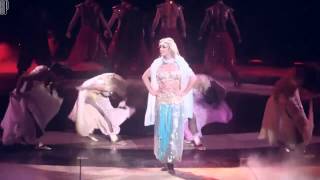 Britney Spears - The Circus Starring Tour DVD (Fan Edition)