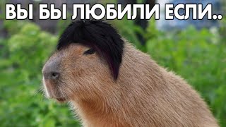 Вы Бы Любили Если…