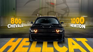 800 Chevaux En Propulsion - Dodge Challenger Srt Hellcat