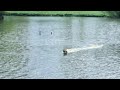 Mie - aero-naut Diva - brushless RC speedboat
