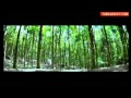 Download weralu gedi pahena kale chamara ranawaka song MP3 song and Music Video
