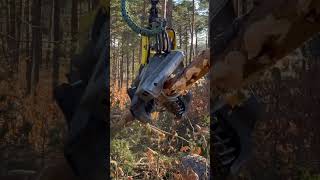 This Is The Process And Cutting Of Wood With The 1270G Harvester #Johndeere #Harvester #Wood #Viral