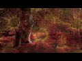 A Walk in the Forest - Brian Crain