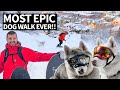 Best Dog Walk Ever! Ken Block’s Epic Mountain Hike to Snowboard With His Dogs