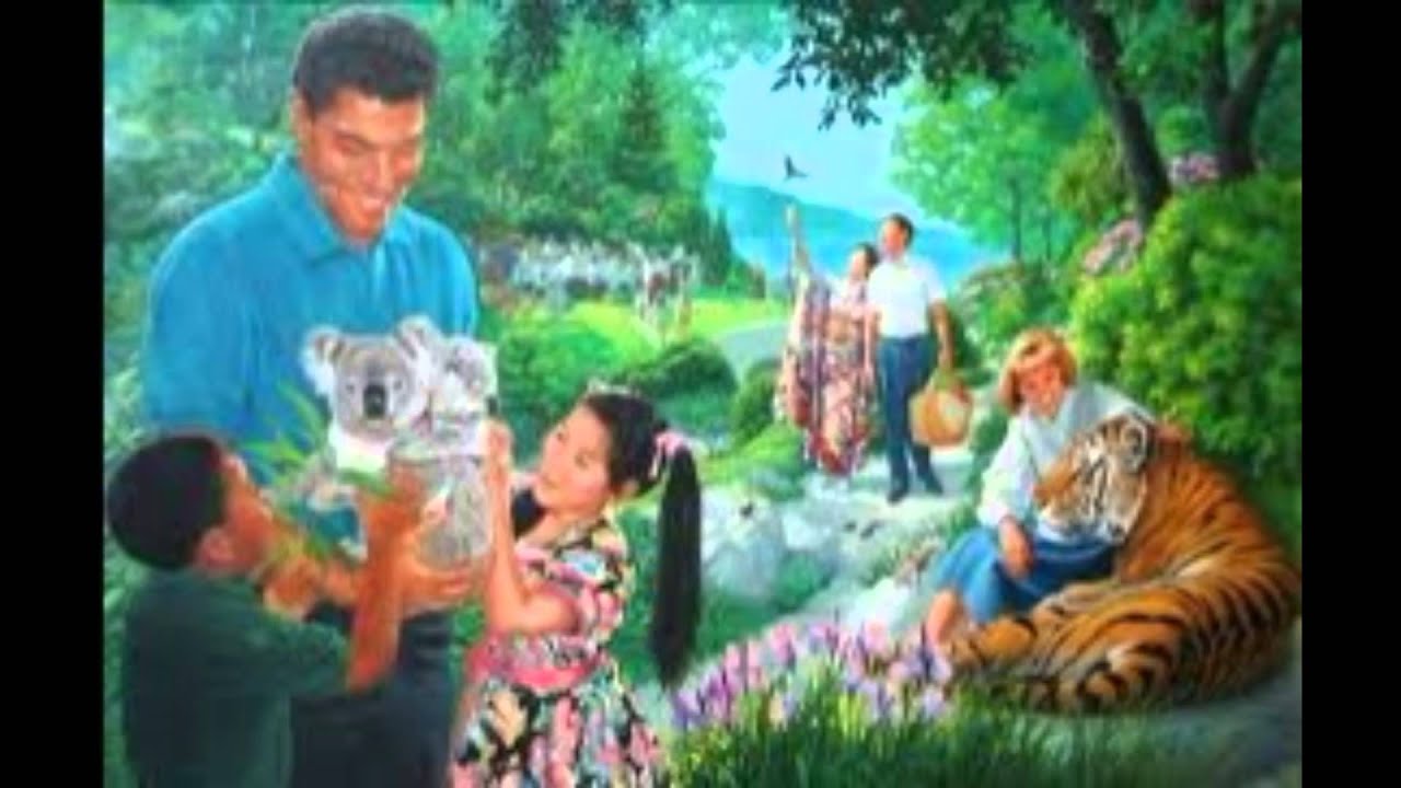 Подарки свидетелям иеговы Подарки свидетелям иеговы
