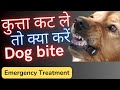 kutta kat le to kya karen | Dog katne par kya karna chahiye | Kutte ke katne pe sahi ilaj