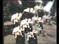 Khara Khota 1981 Kabhi Hoti Nahin Ha Jiski Haar Woh ...