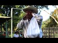Aldrumas Monroy_ Tu pañuelo vivo.