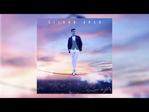 Si Le Temps Video