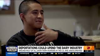Trumps M Deportation Could Destabilize The American Dairy Industry 21925